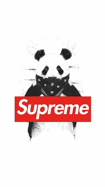 Supreme bear wallpaper by fishguy159 - Download on ZEDGE™