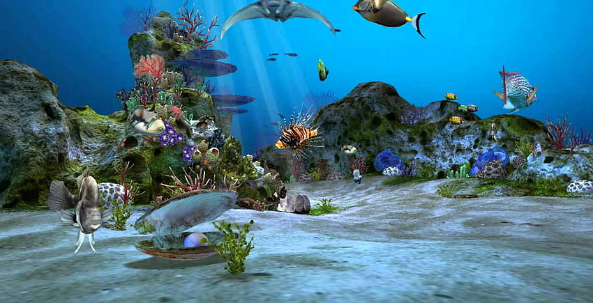 Aquarium 3D Luar Biasa Indah Hidup Wallpaper HD