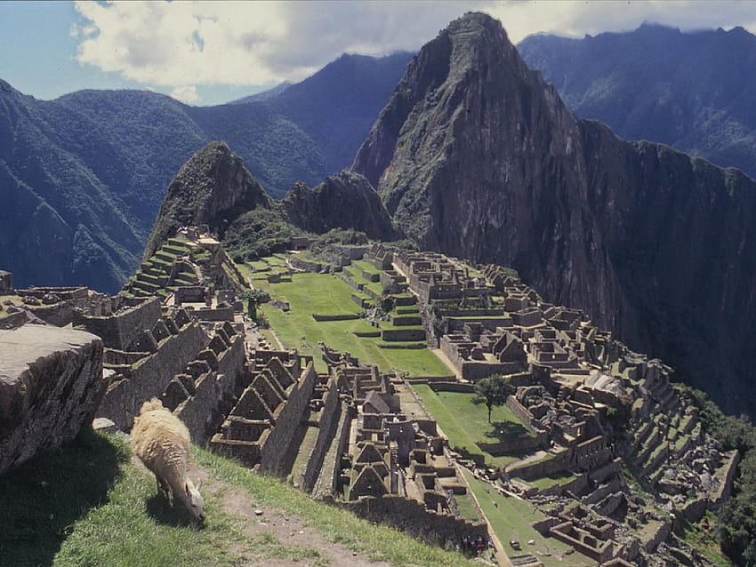 Peru Machu Picchu And Backgrounds HD Wallpaper Pxfuel