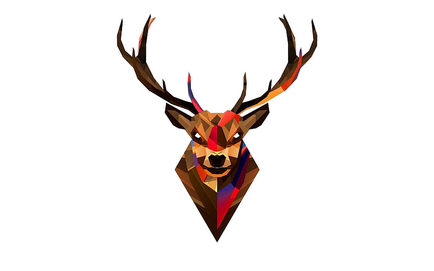 Red Deer Skull on Dog, deer heads HD wallpaper