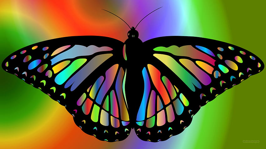 Page 4 | beautiful butterfly colorful HD wallpapers | Pxfuel