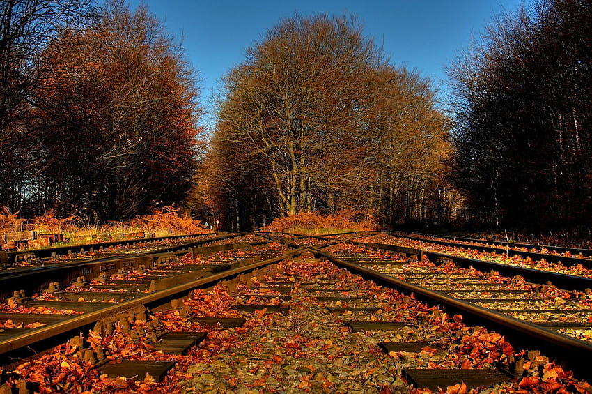Trees foliage leaves railroad tracks crossing road autumn, railroad crossing autumn HD wallpaper