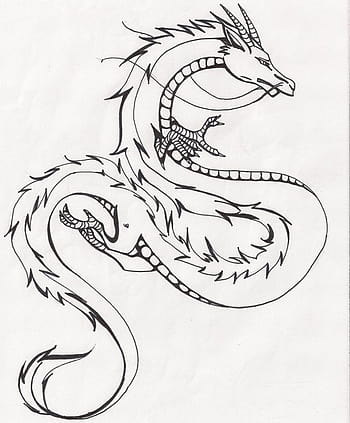 Dragon Fish Drawing