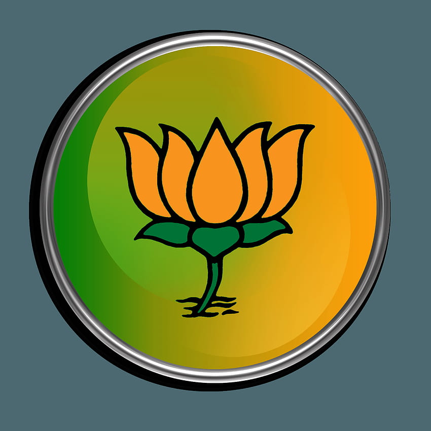 BJP configura painel de investigação e envergonhado por brigas internas, fundo da bandeira bjp preto Papel de parede de celular HD
