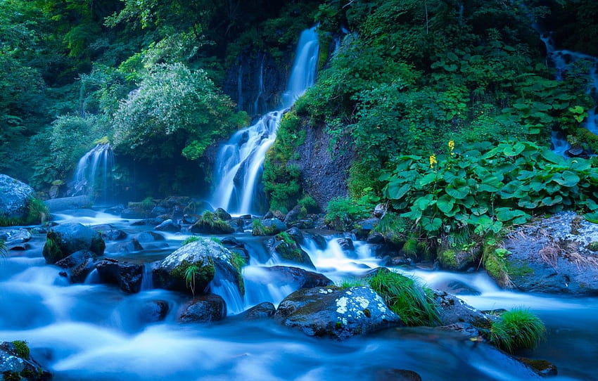 summer, leaves, stones, vegetation, waterfall, stream, cascade, blue tones , section пейзажи, summer cascade HD wallpaper