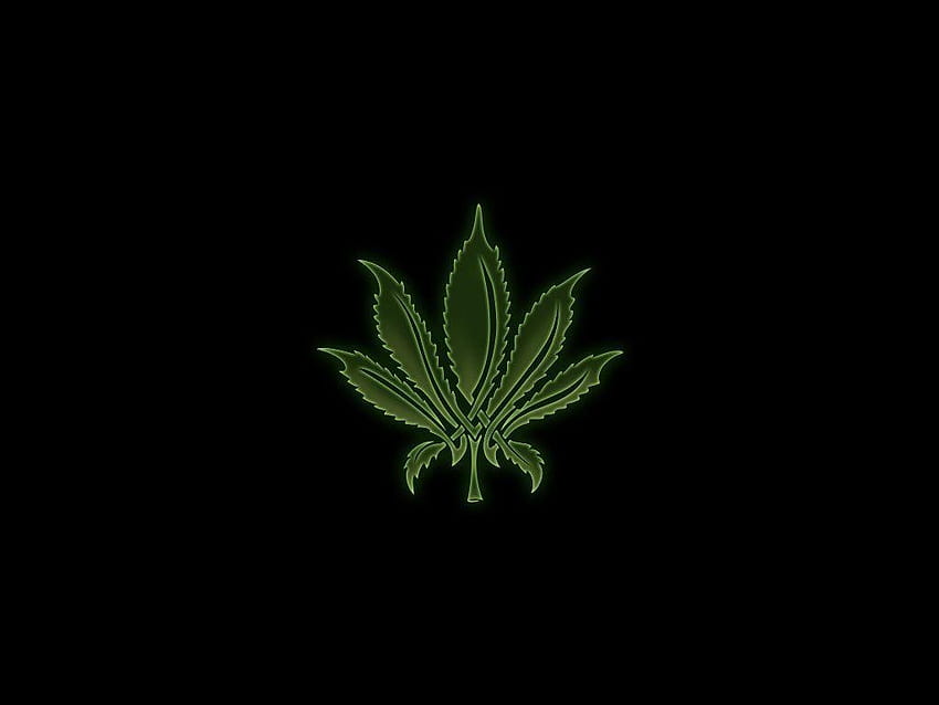 Weed Gallery, schwarzes Marihuana HD-Hintergrundbild