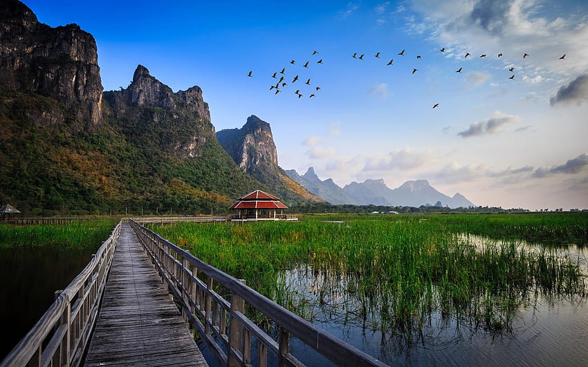 Tajlandzki park narodowy, drewniany most, jezioro, trawa, park w tajlandii Tapeta HD
