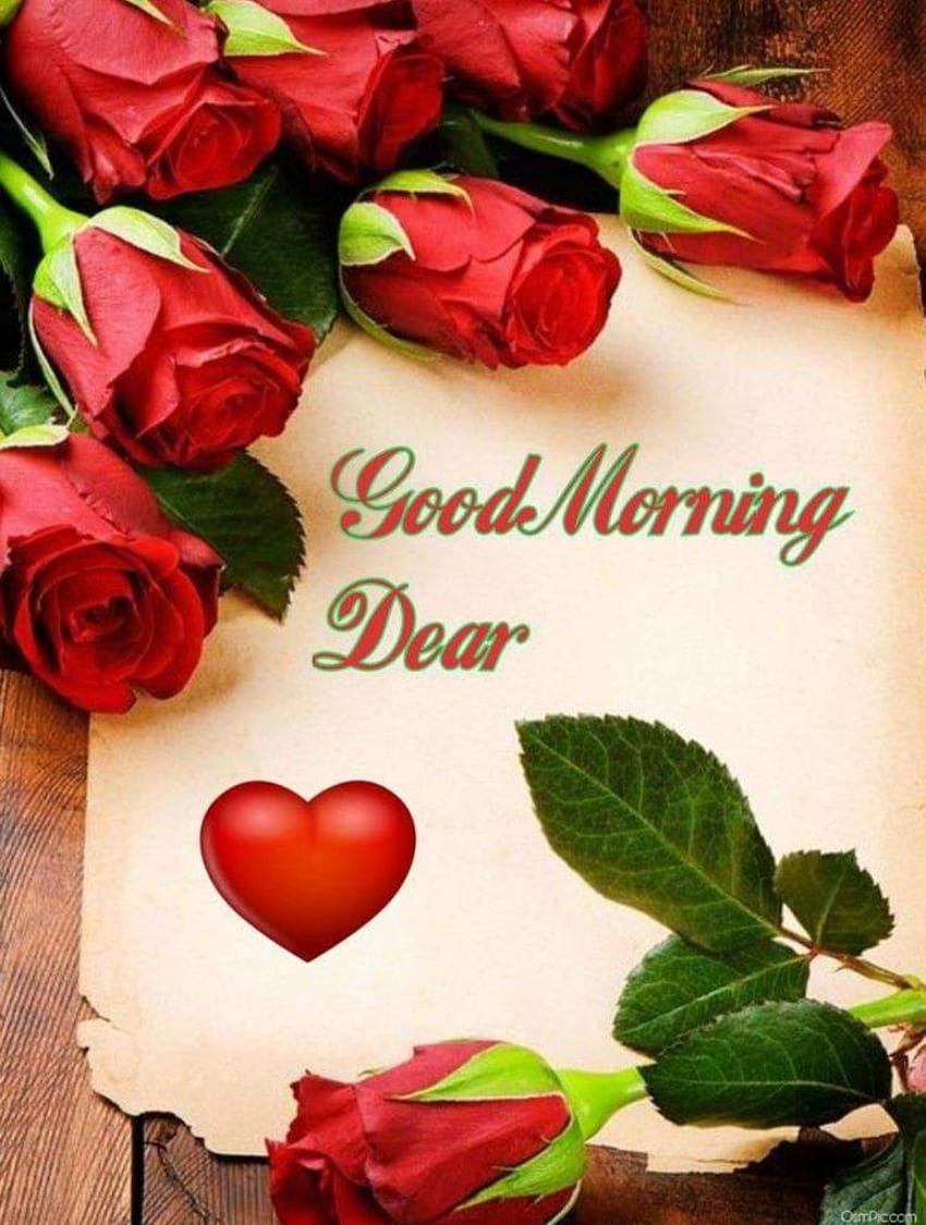 55 Good Morning Rose Flowers With Romantic, Red Roses, rose flower ...