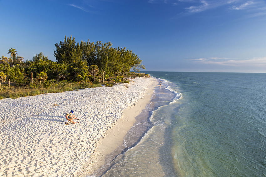 The 12 Best Kid, sanibel island HD wallpaper | Pxfuel