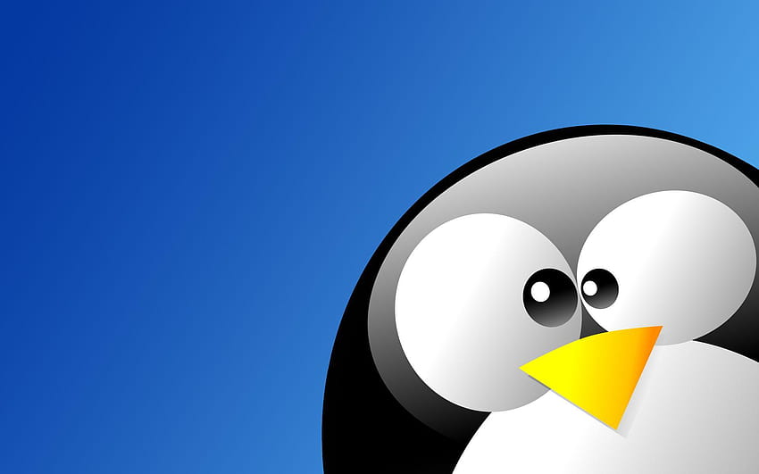 Linux Penguin HD wallpaper