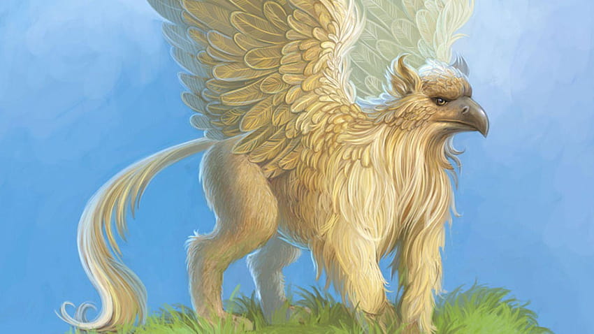 Griffin animal HD wallpapers | Pxfuel