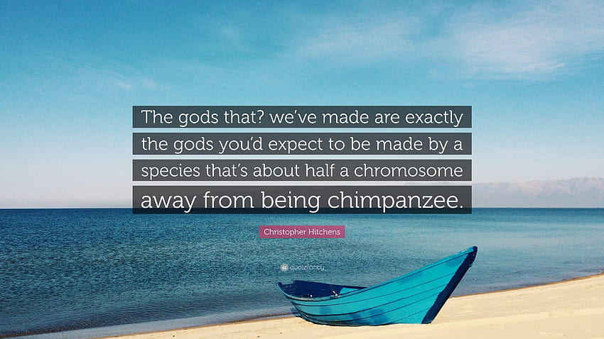 クリストファー・ヒッチンズの名言：「神々？ 私たちが作ったのはまさに染色体 高画質の壁紙