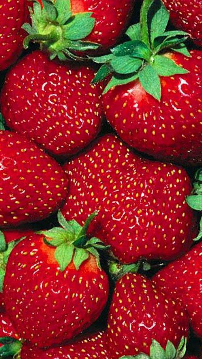 6 Obst, Fruchtmobil HD-Handy-Hintergrundbild