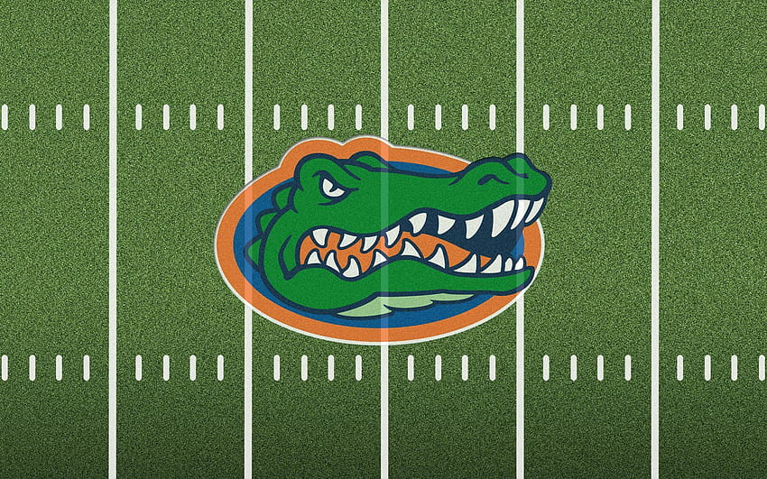 College Football Field, florida gators college football HD wallpaper