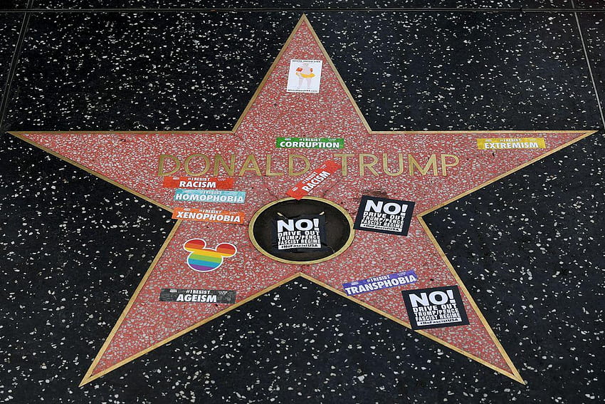 O Conselho da Cidade de West Hollywood quer remover a Calçada da Fama de Trump, a calçada da fama de hollywood papel de parede HD