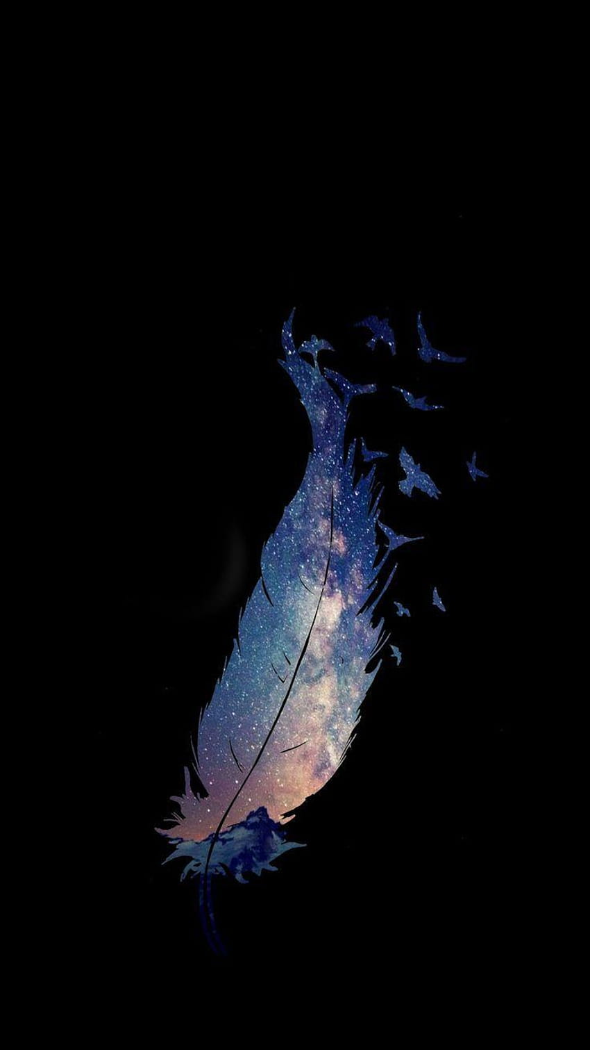 Feather iPhone, black feather HD phone wallpaper
