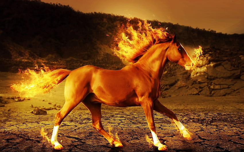 1920x1200 px 3d art fire g horse psychedelic High Quality, fire pets HD wallpaper