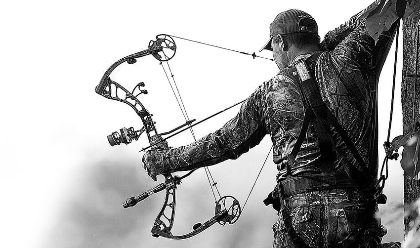 Bear Archery [1280x756] para seu , Celular e Tablet, tiro com arco mathews papel de parede HD
