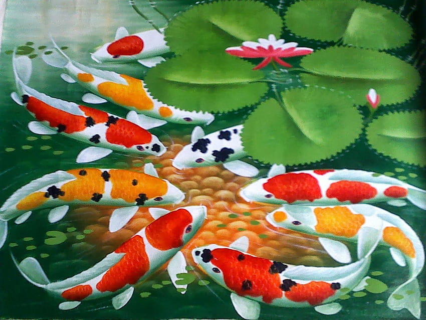 ikan bergerak dalam akvaryum HD duvar kağıdı