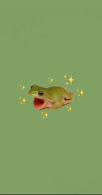 cute frog wallpaper aesthetic  Frog wallpaper Cute frogs Frog art