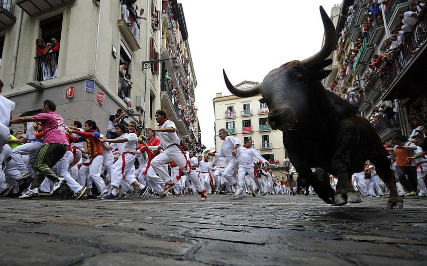 Explore Spain – FAE Travel, running of the bulls HD wallpaper