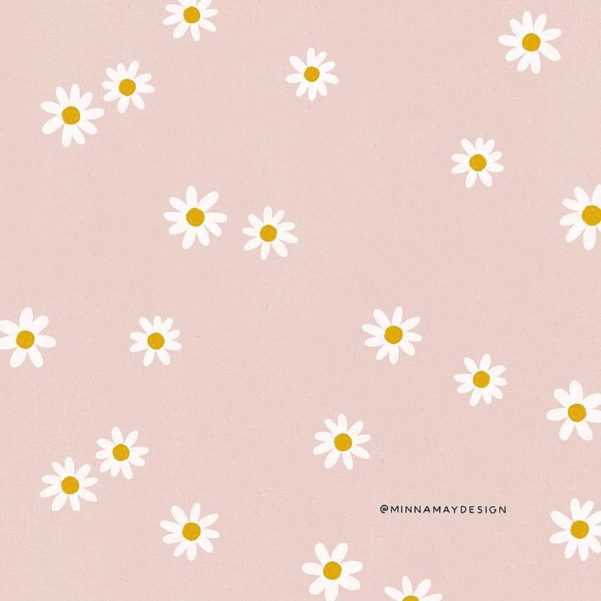Floral Minimal Daisy Wallpaper Background light pink and yellow dainty   Daisy wallpaper Wallpaper backgrounds Iphone background wallpaper