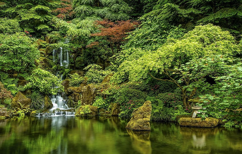 trees, lake, stones, waterfall, Oregon, Portland, portland japanese garden HD wallpaper