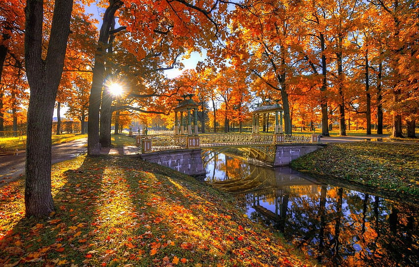 jesień słońce drzewa most Park listowie kanał Gordeev Edward , sekcja пейзажи jesienny most Tapeta HD