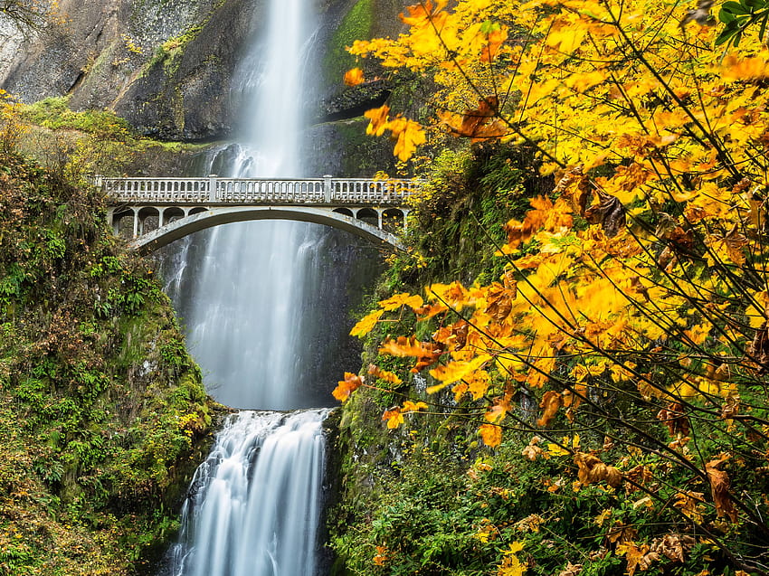 multnomah, Falls, Columbia, River, Gorge, Oregon, Waterfall, Autumn / and Mobile Backgrounds, マルトノマの滝 高画質の壁紙
