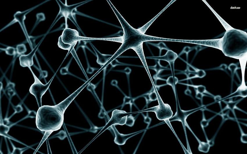 生化学フルクオリティ、4ワイドスクリーン、ニューラルネットワーク 高画質の壁紙