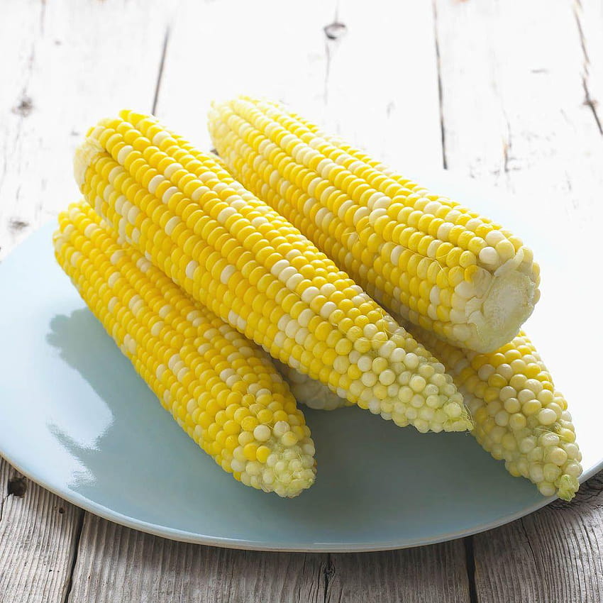 Corn On The Cob HD phone wallpaper