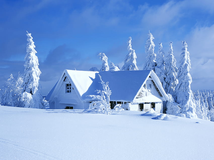 Winter House, winter outside HD wallpaper