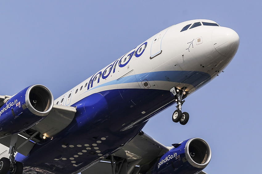 A IndiGo está cancelando 1.300 voos até o final de março; como verificar, companhias aéreas indigo papel de parede HD