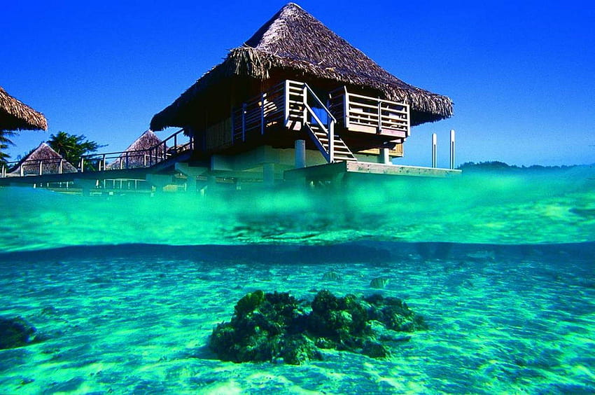 bungalow bora ocean bora, polynesia HD wallpaper