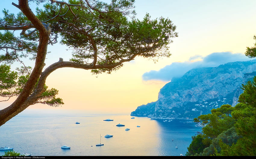 Capri Island, Italy , & backgrounds HD wallpaper