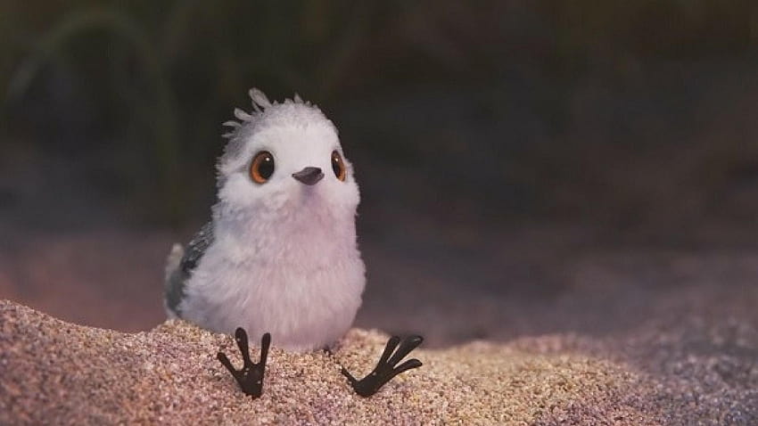 Il cortometraggio Pixar Piper trasmette un messaggio potente a The Most, piper pixar Sfondo HD