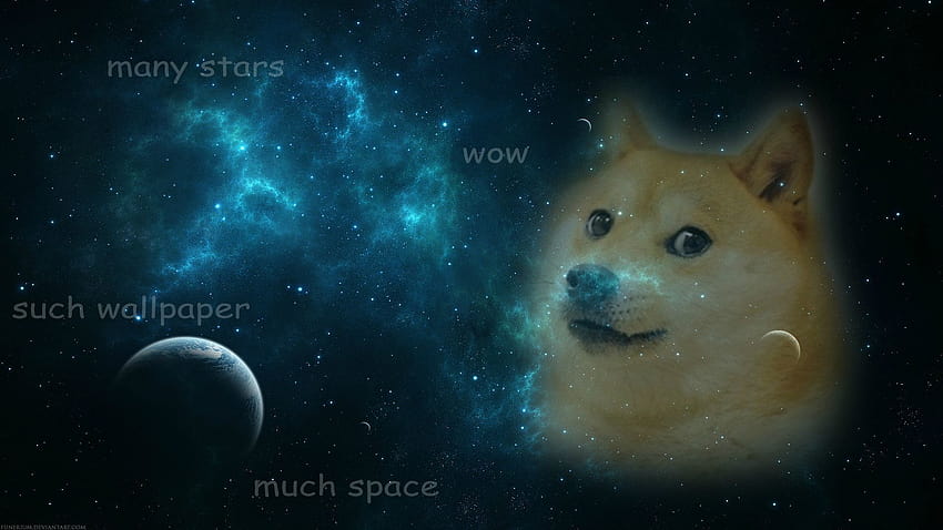 7 Doge Weltraum, Weltraumhund HD-Hintergrundbild