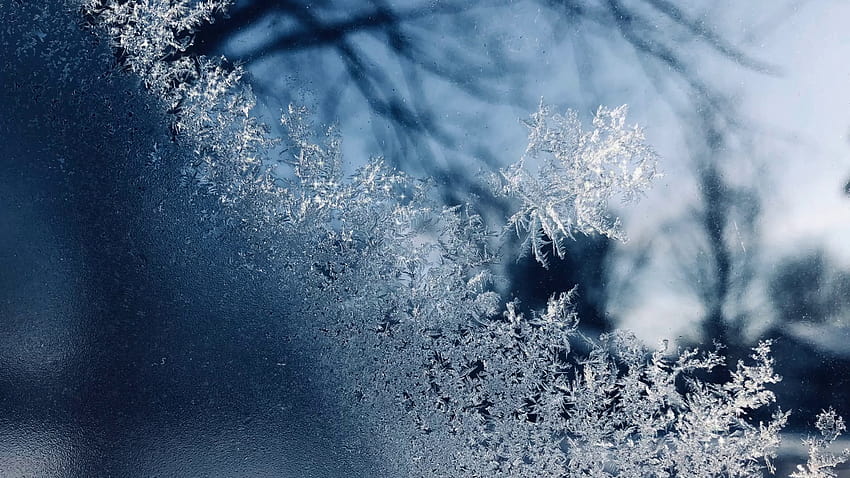 NOAA publikuje prognozę zimy 2021/22: ile mrozów i śniegu w tym roku dla Wirginii Tapeta HD