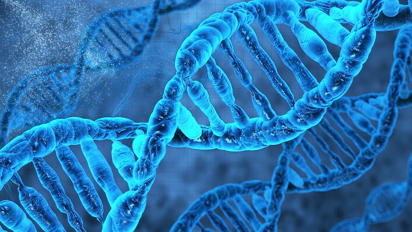 V.43: Genetik, Ultra Genetik, Chromosom HD-Hintergrundbild