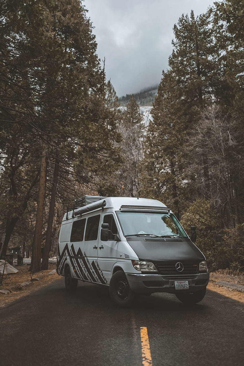 white and blue van parked near trees during daytime – Yosemite valley, camper van HD phone wallpaper