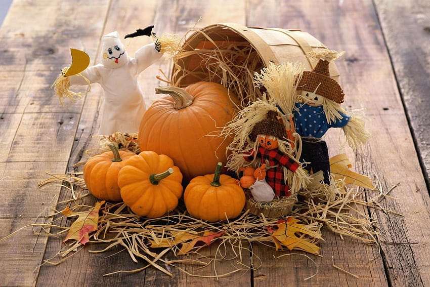 Vegetables Board autumn Pumpkins toys straw basket, autumn pumkins HD wallpaper