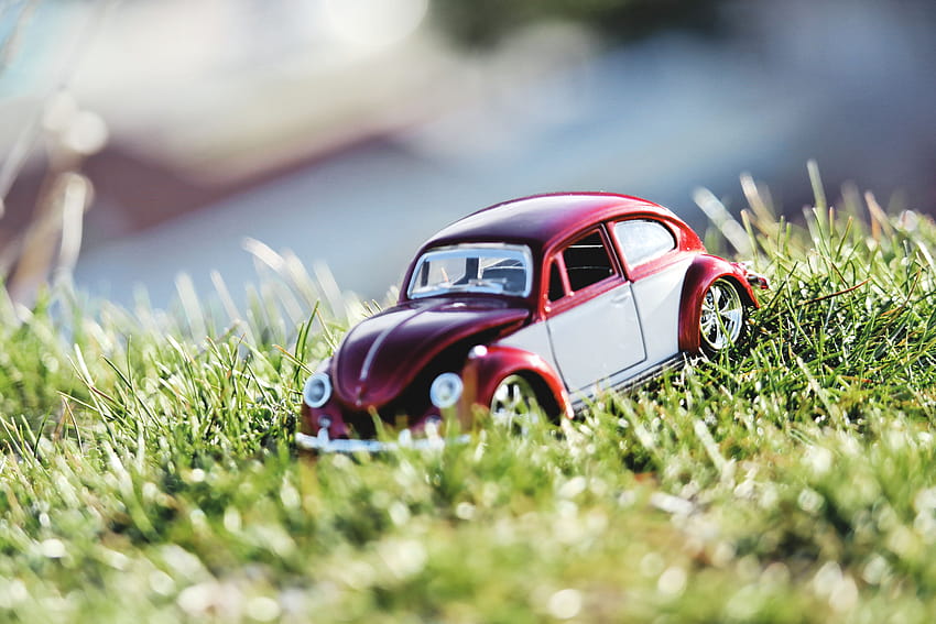 Red and White Beetle Car Toy on Grass Field in Bokeh graphy · Stock, toy cars HD wallpaper