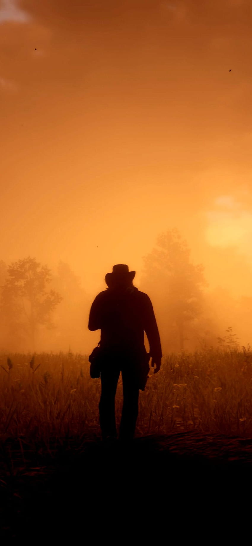 1080x2340 Game Red Dead Redemption 2 1080x2340 Resolution, red dead redemption 2 for mobile HD phone wallpaper