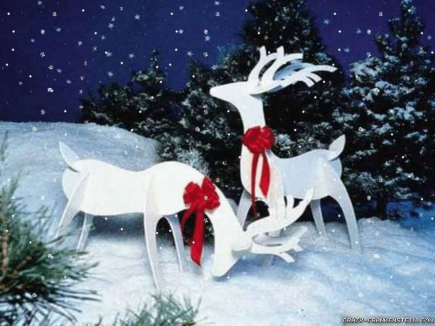 christmas reindeer white christmas reindeer [1024x768] for your , Mobile & Tablet, white reindeer HD wallpaper