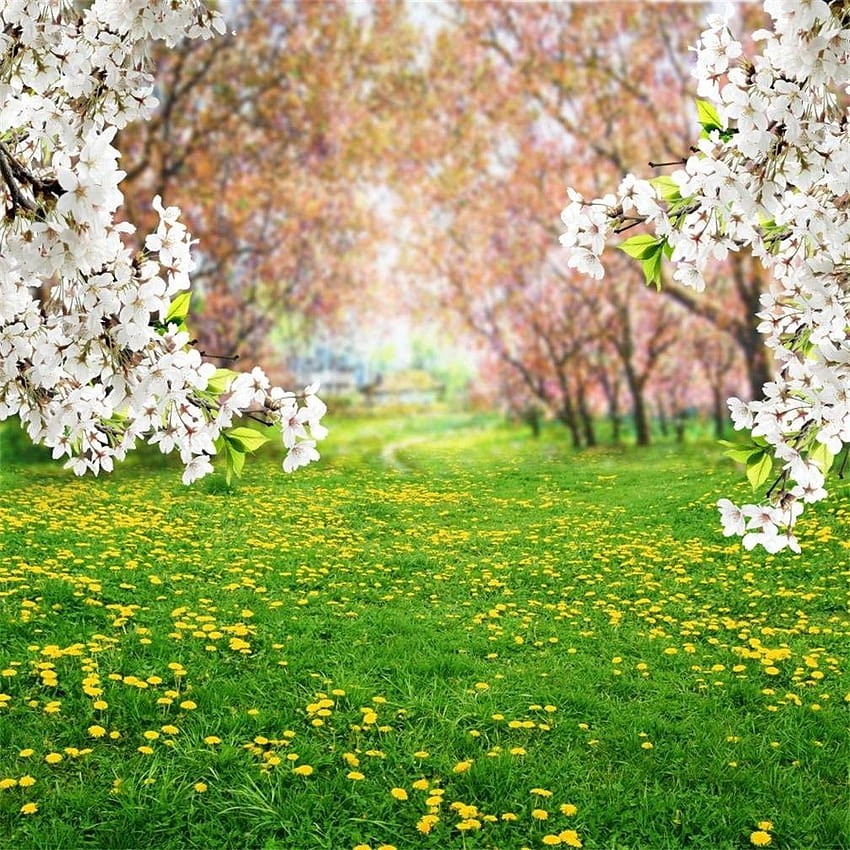 Amazon : AOFOTO 4x4ft Spring Scenic Backdrop Sweet Flowers graphy Backgrounds Meadow Floral Blossoms Garden Florets Grassland Park Trees Kid Baby Girl Artistic Portrait Studio Props Video : Camera & HD phone wallpaper