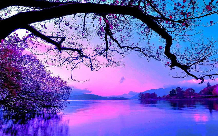Pôr do sol rosa sobre o lago, pôr do sol no lago papel de parede HD