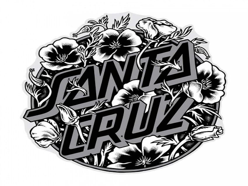 Santa Cruz-Computer HD-Hintergrundbild