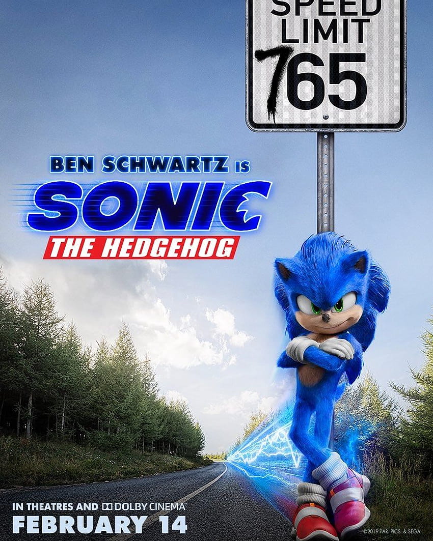 Papel de parede : sônica, Sonic 2 The Movie, Sonic O ouriço, Poster do  filme, Personagens do filme, Sega, Primordial, Sonic The Movie, movie  scenes 2400x1440 - HeroineGirls2020 - 2157215 - Papel de parede para pc -  WallHere