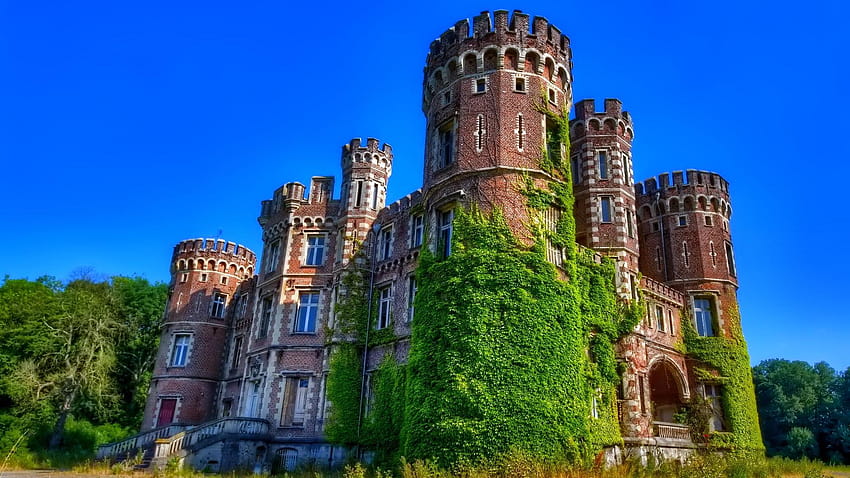 1920x1080 Wonderful Old Castle & Ivy PC and Mac, old palace HD wallpaper