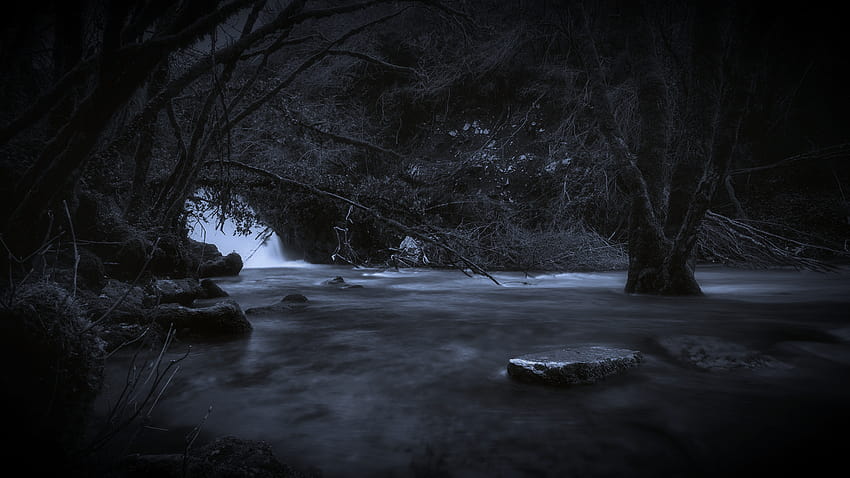 Mossy Placid Noir Style by Charlie HD wallpaper